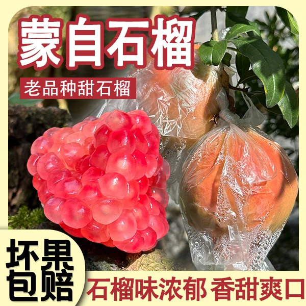 【自产自销】正宗云南红河蒙自石榴硬籽原产地直发水果直播当季新鲜