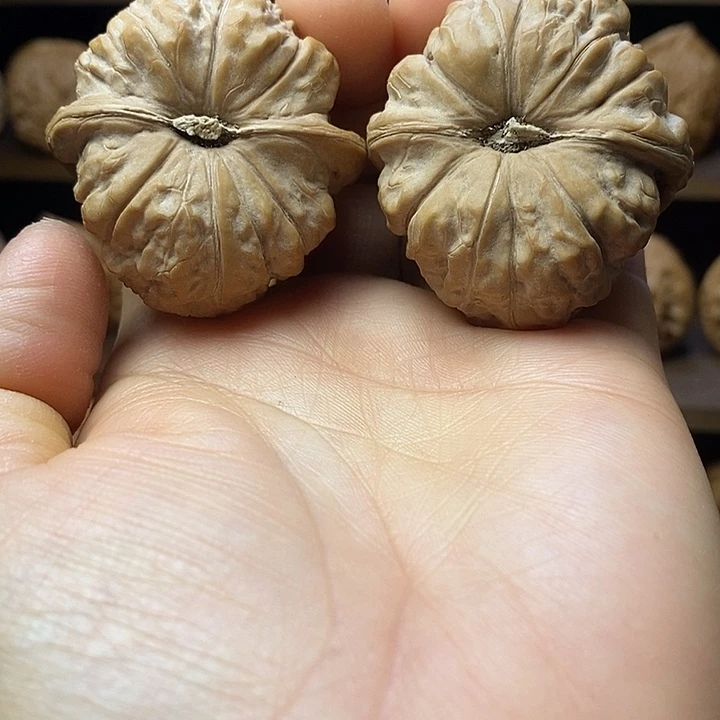 文玩核桃全品南瓜