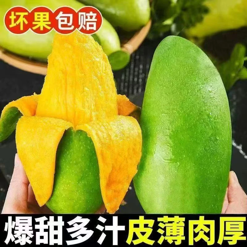 【黄世进】正宗广西百色青皮大金煌芒果新鲜金黄大青芒金煌芒