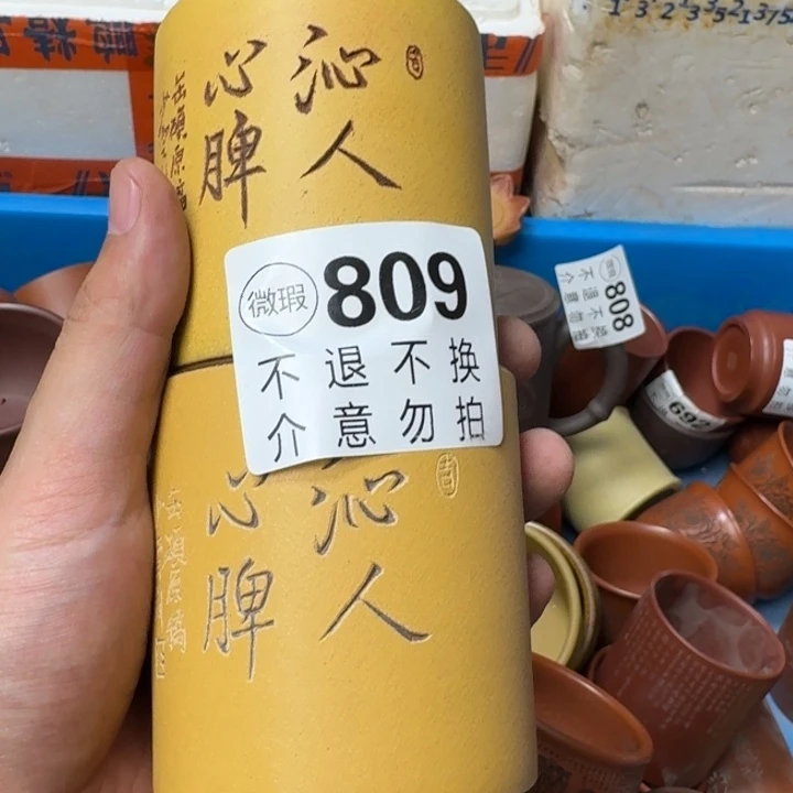 紫砂茶壶宜兴紫砂微瑕809