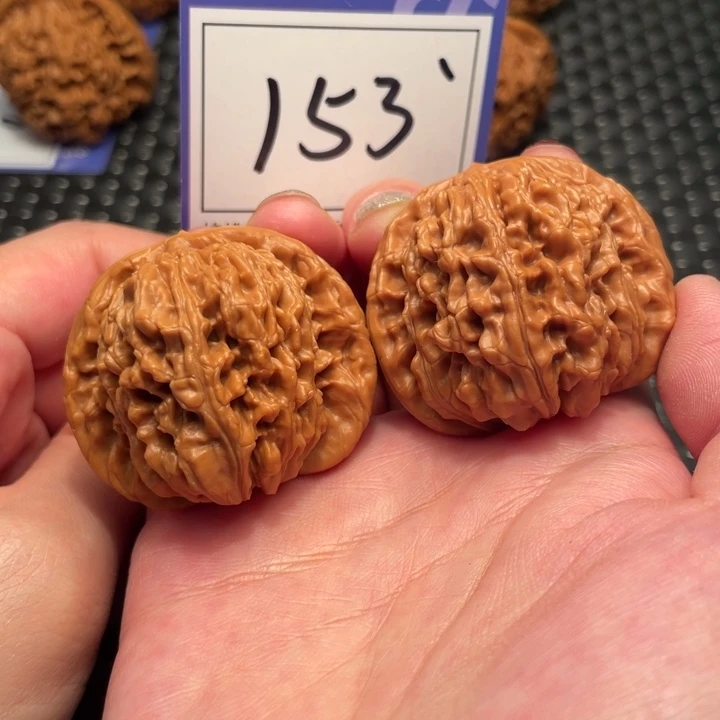 桃核把件44楼子153。。。