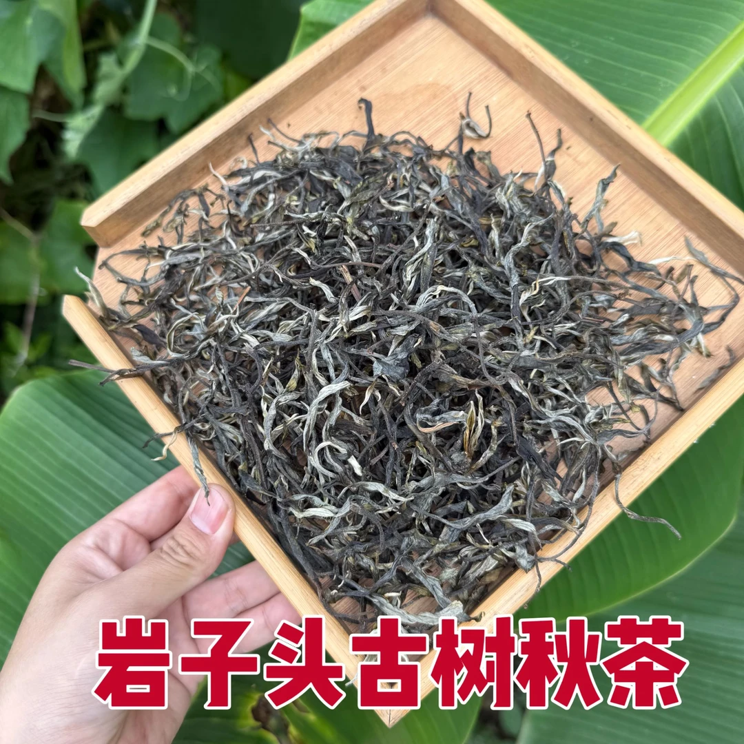 2025年 【岩子头】古树秋茶 散茶