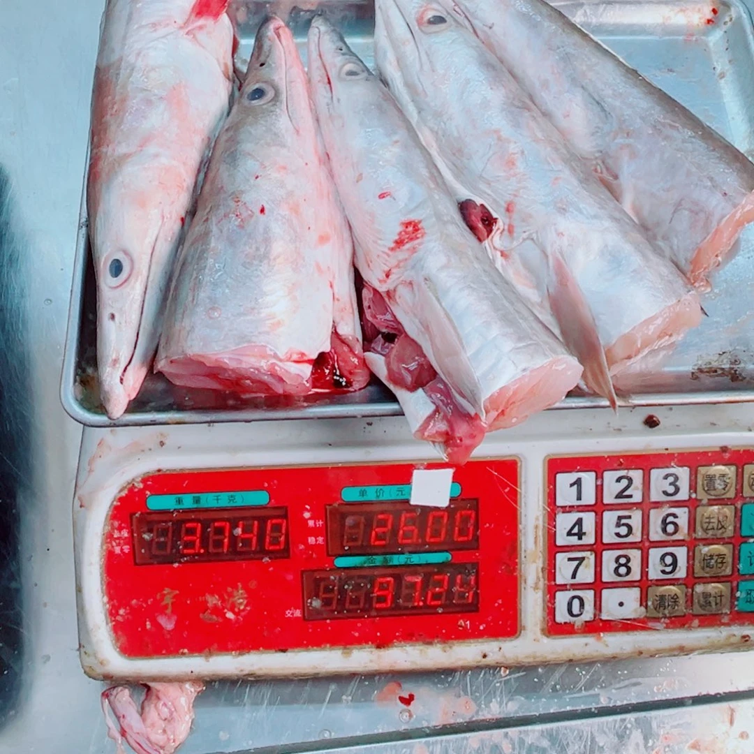 中国大陆五个鳗鱼头