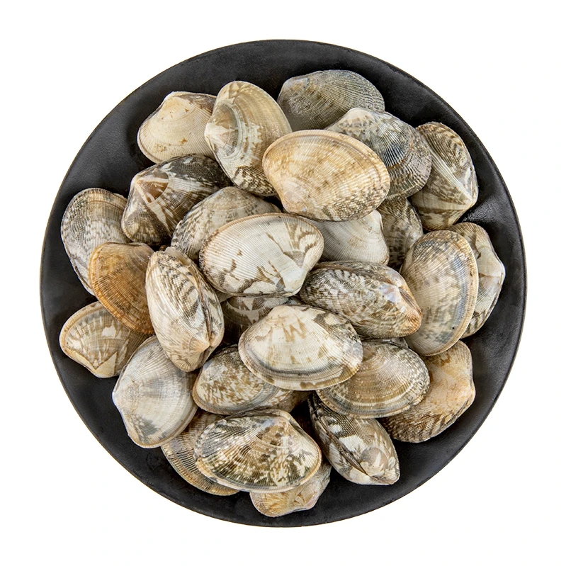 鲜活净化福建大花蛤沙甲350g±10g/份（约30粒）