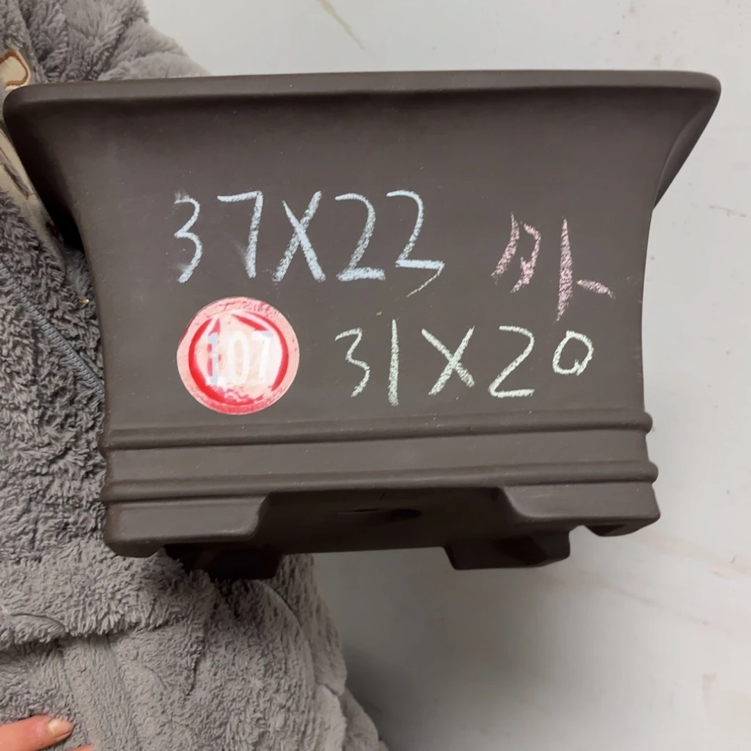 紫砂花盆呜呜呜呜