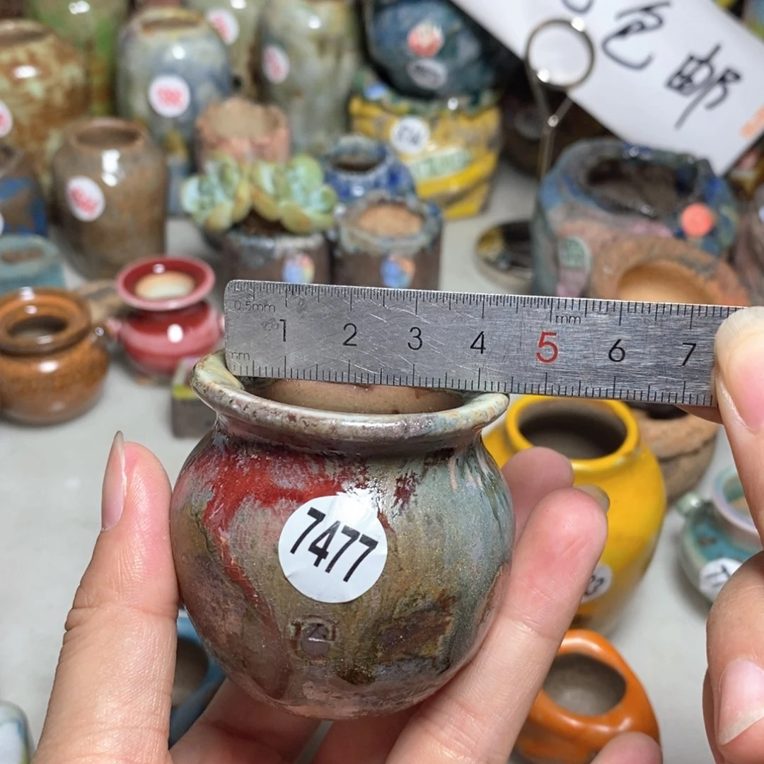 拍5送一个小礼物