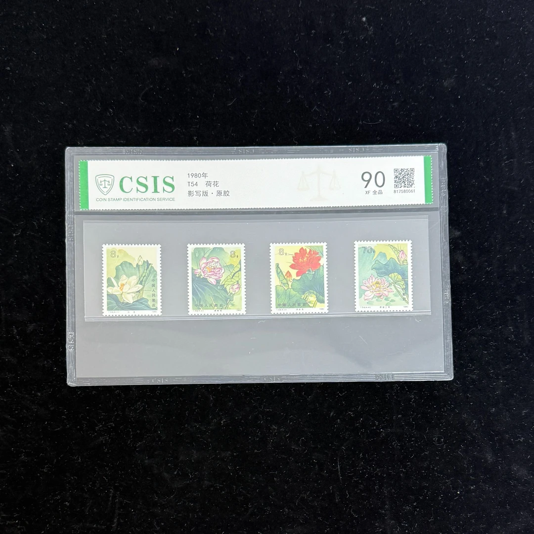 T54 荷花  90 全品原胶  信泰评级