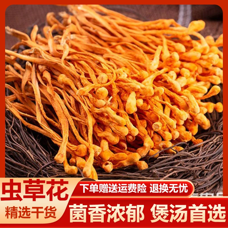 精选特产虫草花干货新货可凉拌煲汤火锅菌菇汤