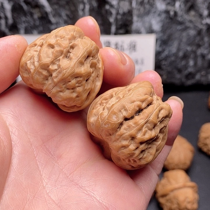 核桃36蜡皮小蛤蟆