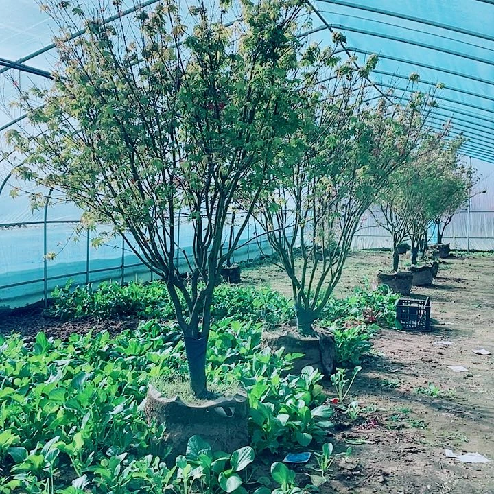 【闪购商品】完全开放