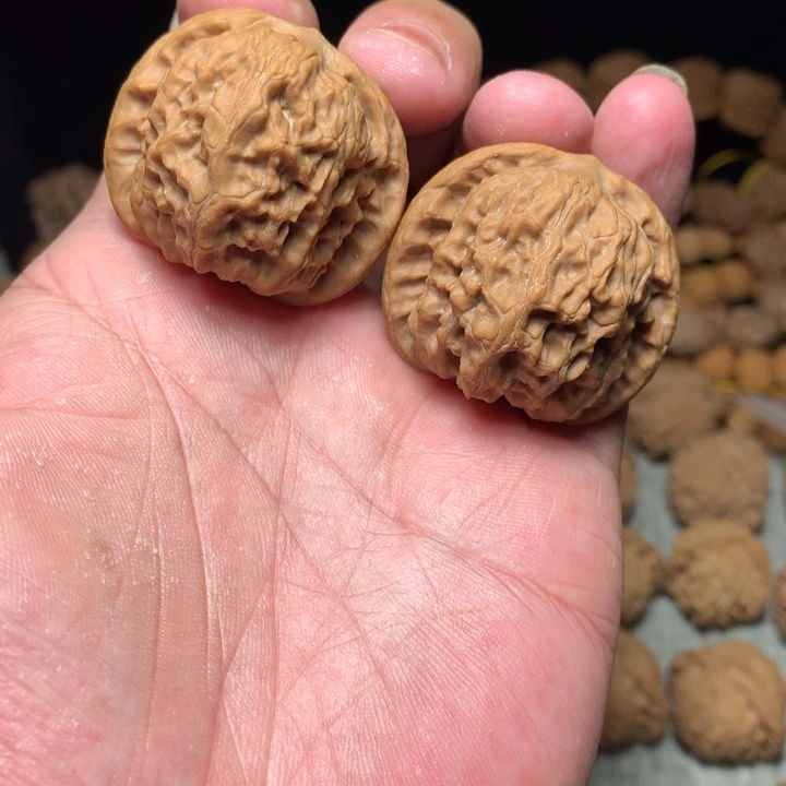 把件桃核全品40野狼