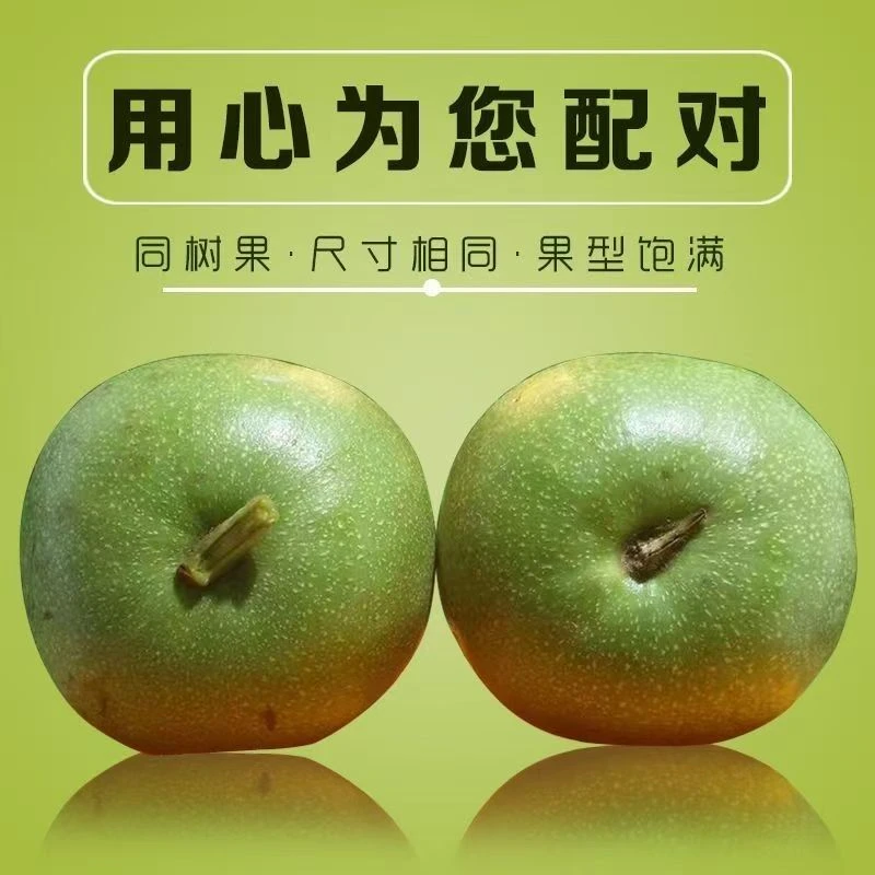 三棱青皮，定制文玩
