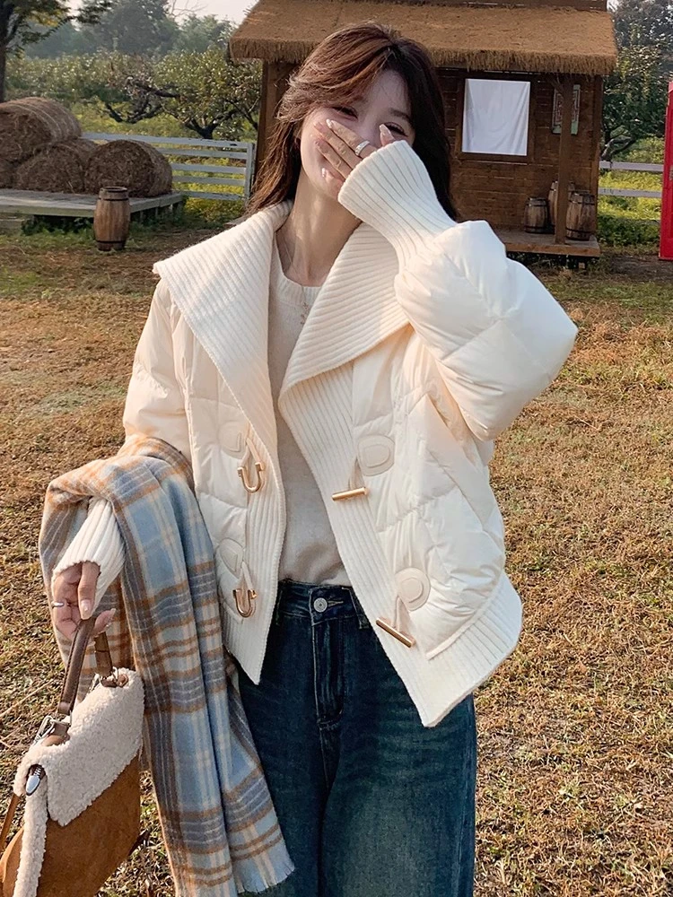 短款不起球服装版型纯色百搭立领时尚显瘦秋冬小个子