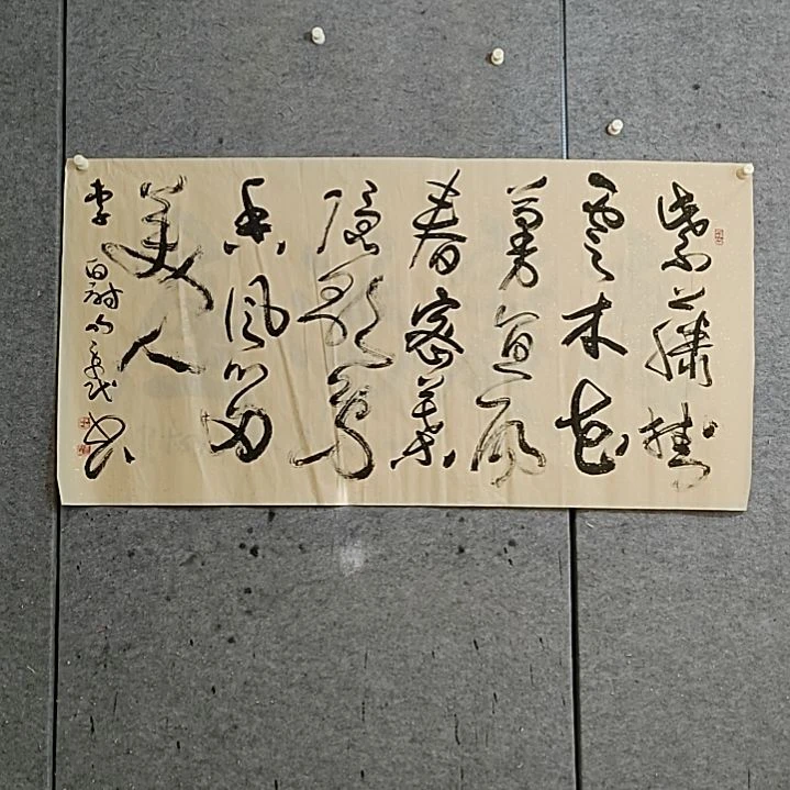 书法宋秉民。四尺整张。花蔓宜阳春