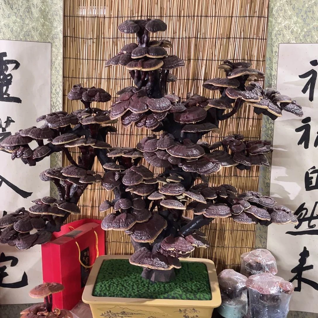 无花朵万事如意88888888888888