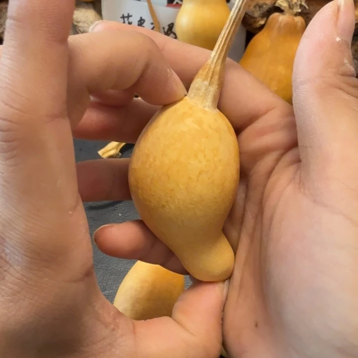 佛***人777……………………………………