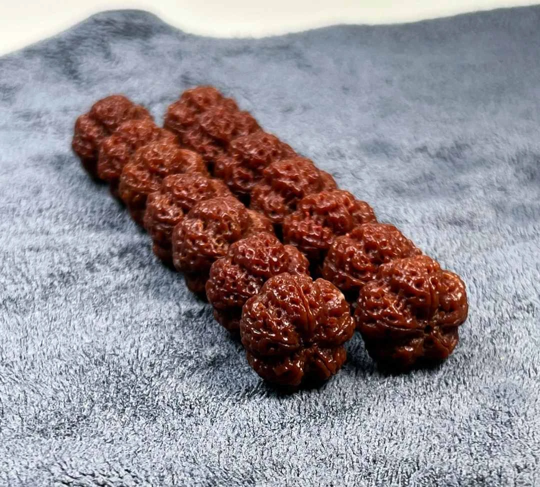 梁产区.烛龙梅花尼泊尔大金刚