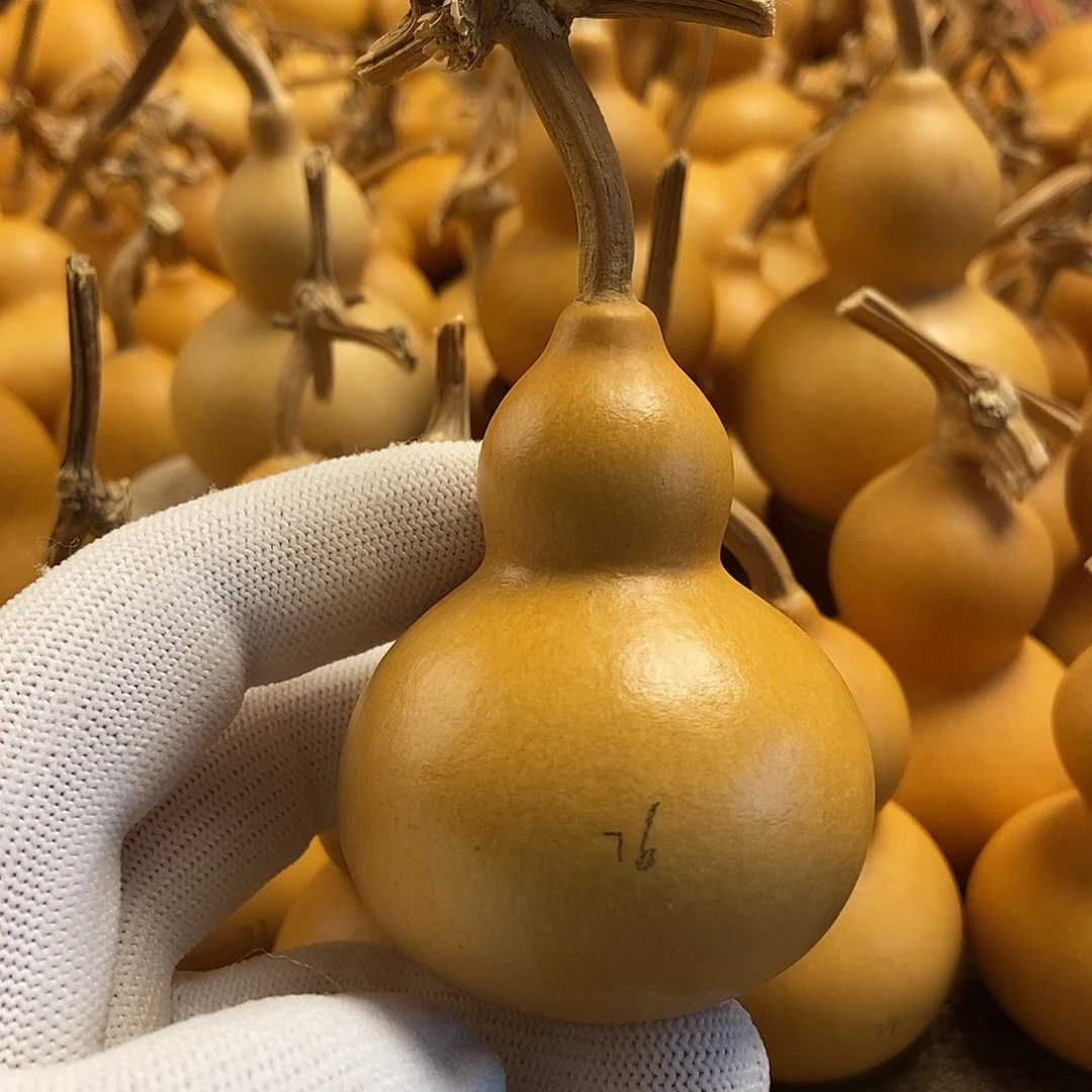文玩葫芦 完美主义者 慎拍76