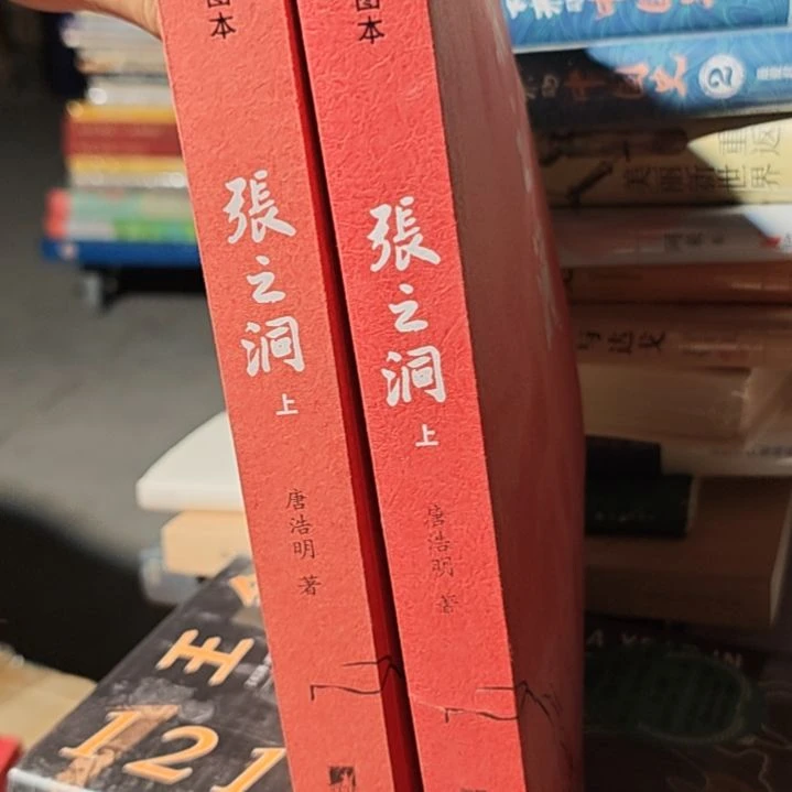 张之洞两本，一套带塑封，微瑕。