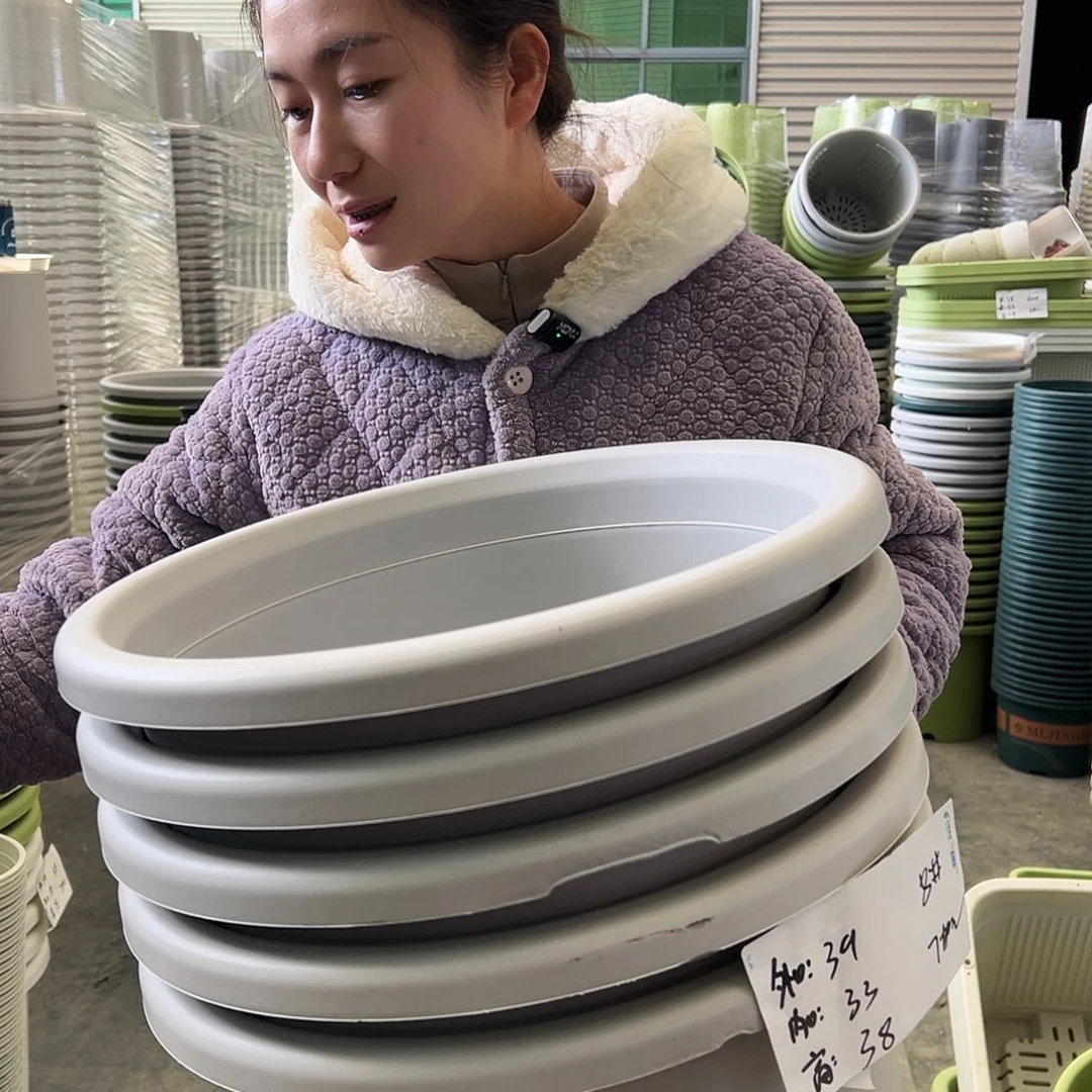 瑕疵四季盆8#灰白5个无托