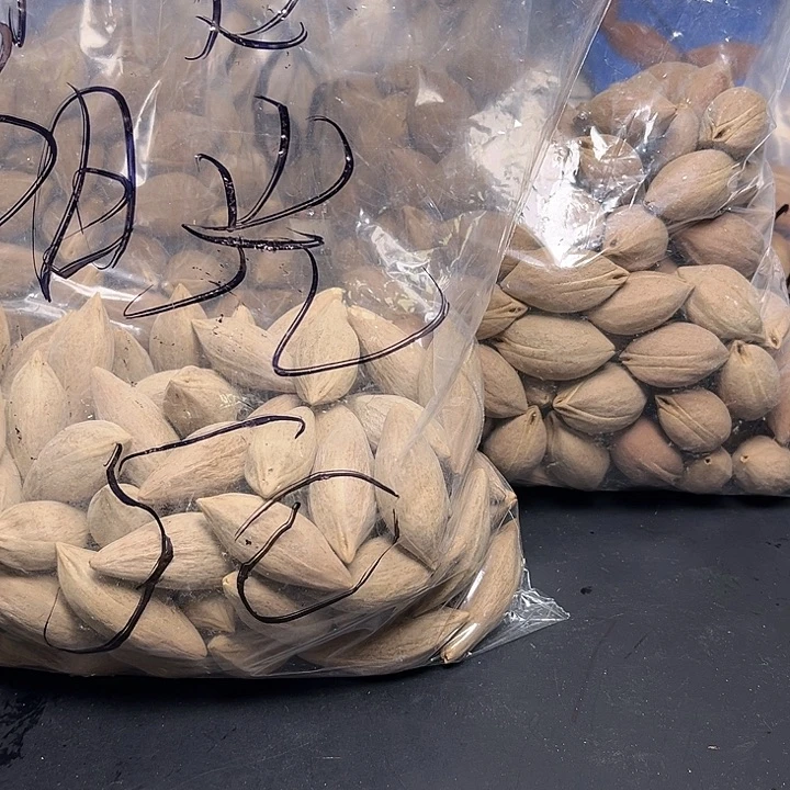 午***e手串/手链橄榄核121-