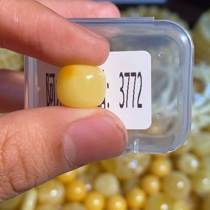 琥珀未镶嵌珠宝奇石3772