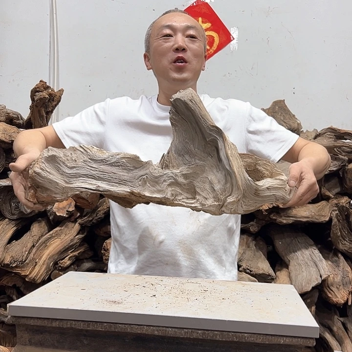 柏木楼**雪我们的生活也是如此的丰富