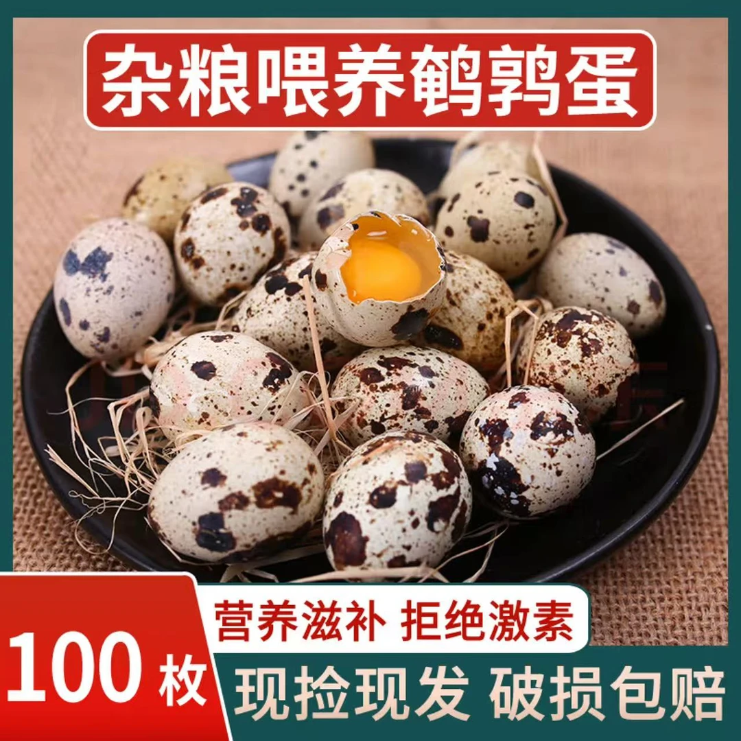 鹌鹑蛋生鲜批发100枚当日鹌鹑蛋新鲜生鹌鹑蛋现捡现发鸸鹋蛋