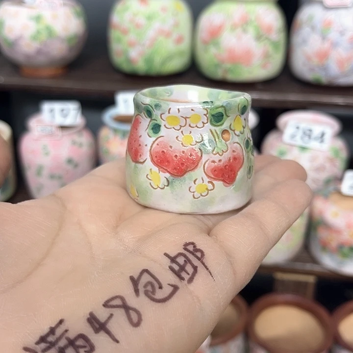 月***稀手工制作多肉花盆
