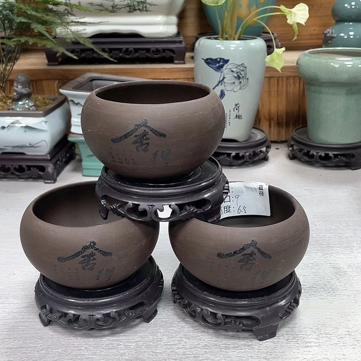 陶瓷花盆紫砂花盆抢购福利