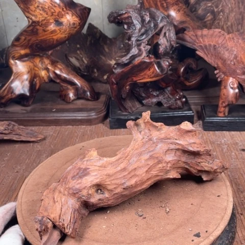 黄花梨/降香黄檀用****4