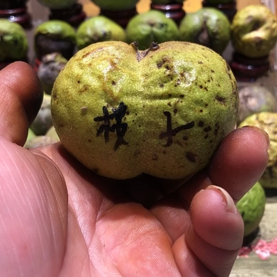 吊坠桃核核桃核桃