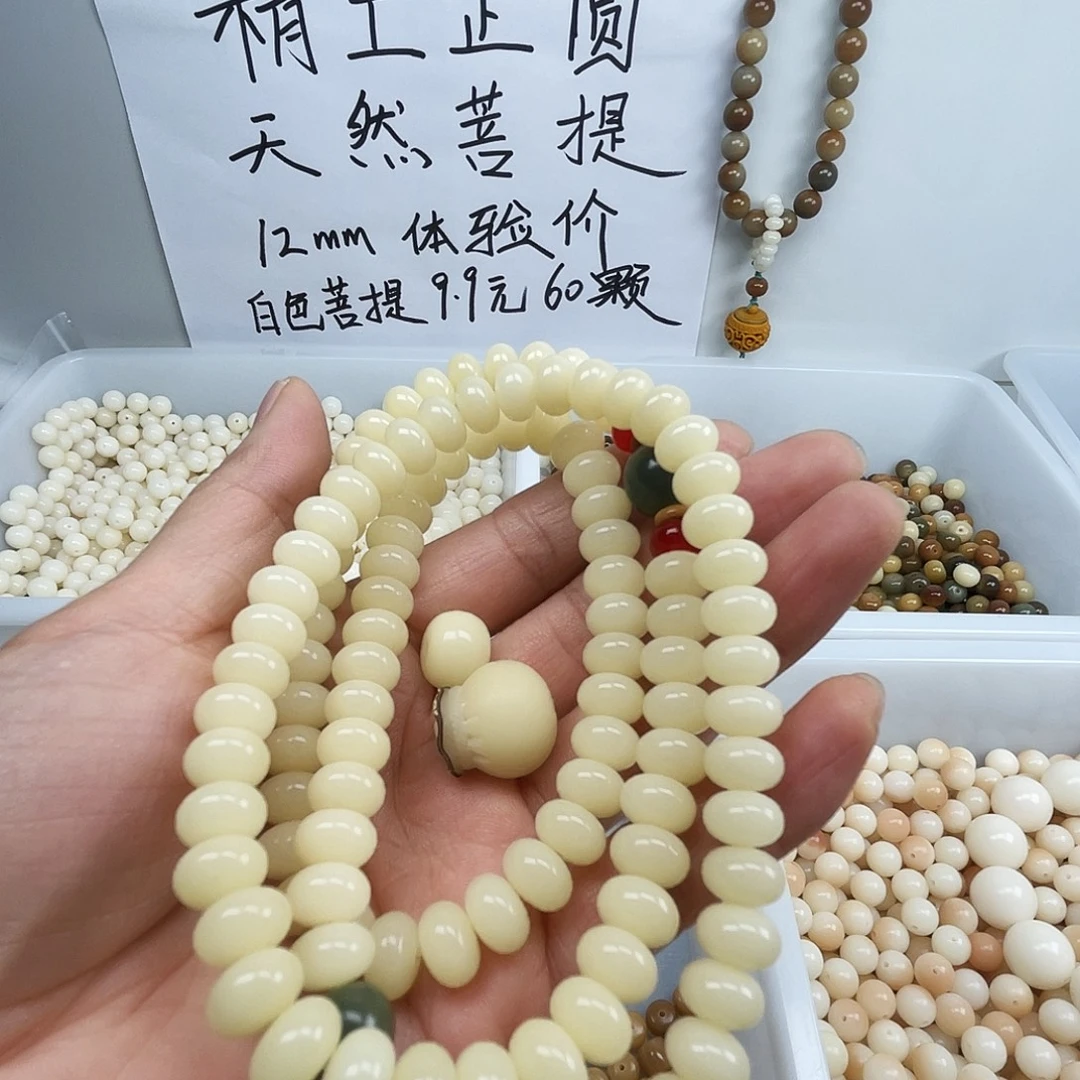 手串菩提根/象牙果