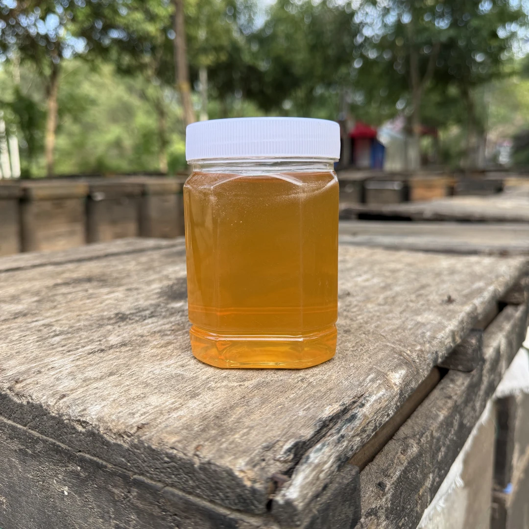 益母草山花蜜伏牛山女贞子蜜纯正天然野生乌柏蜜成熟原蜜百花蜜