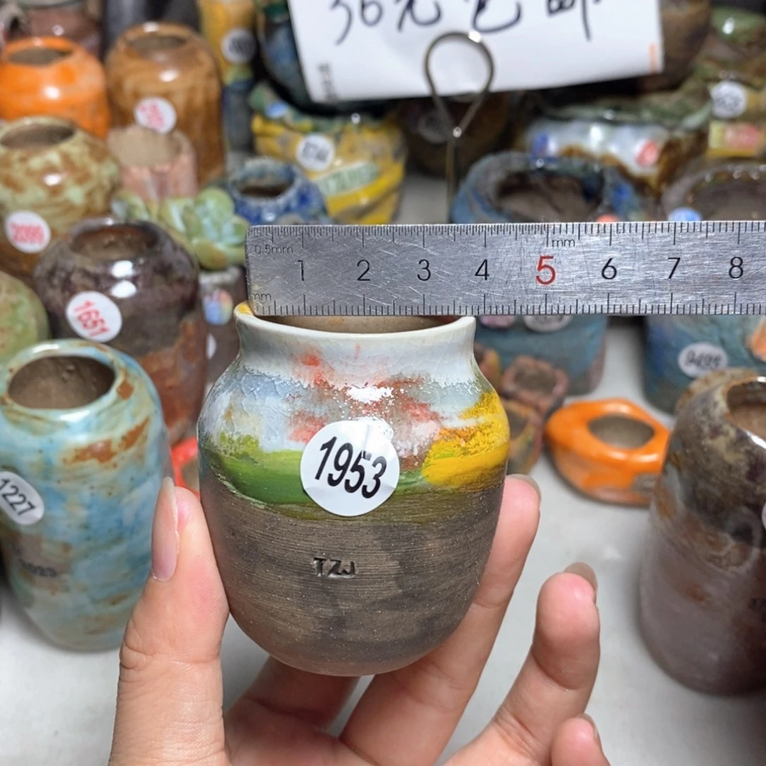 拍5送一个小礼物