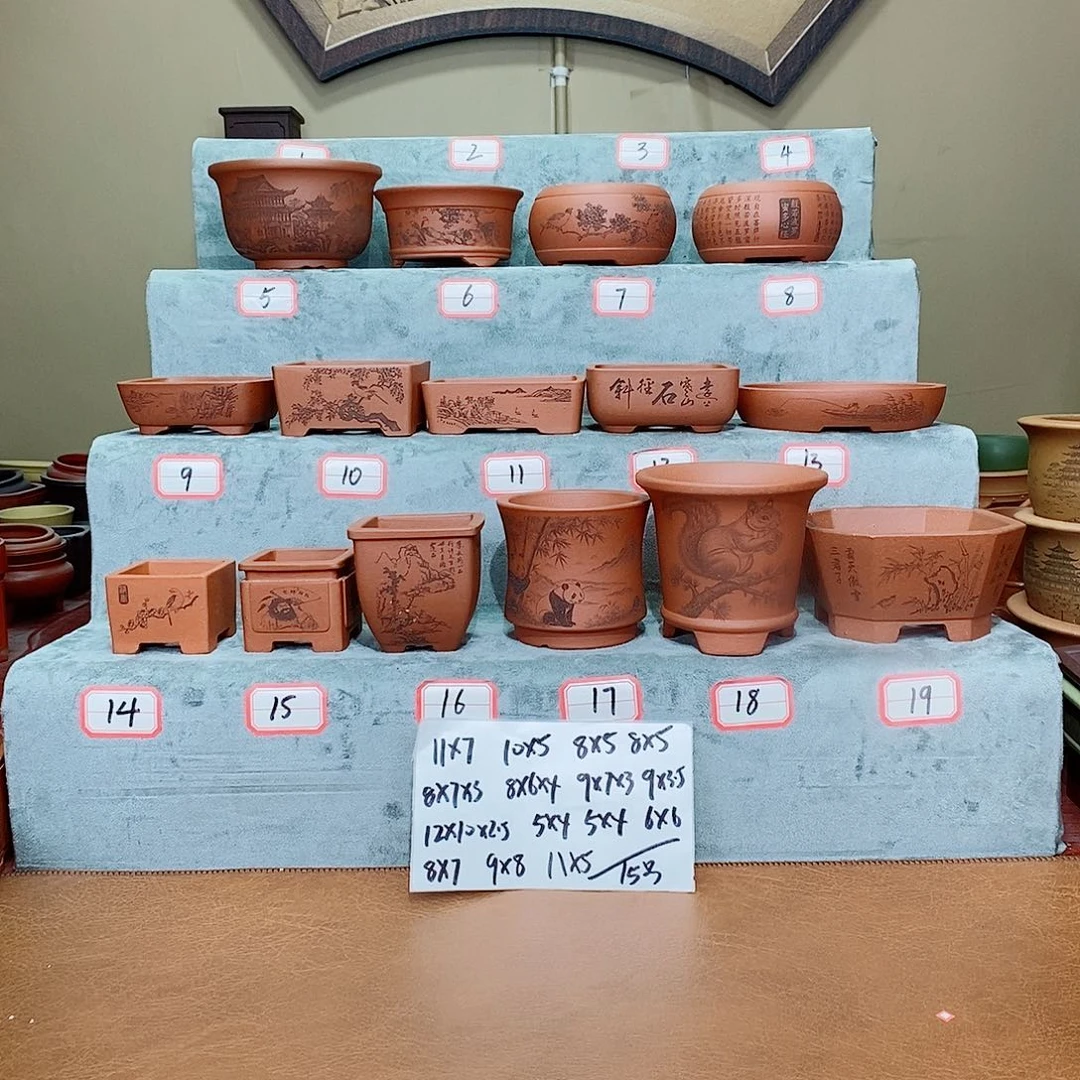 紫砂花盆我在看书