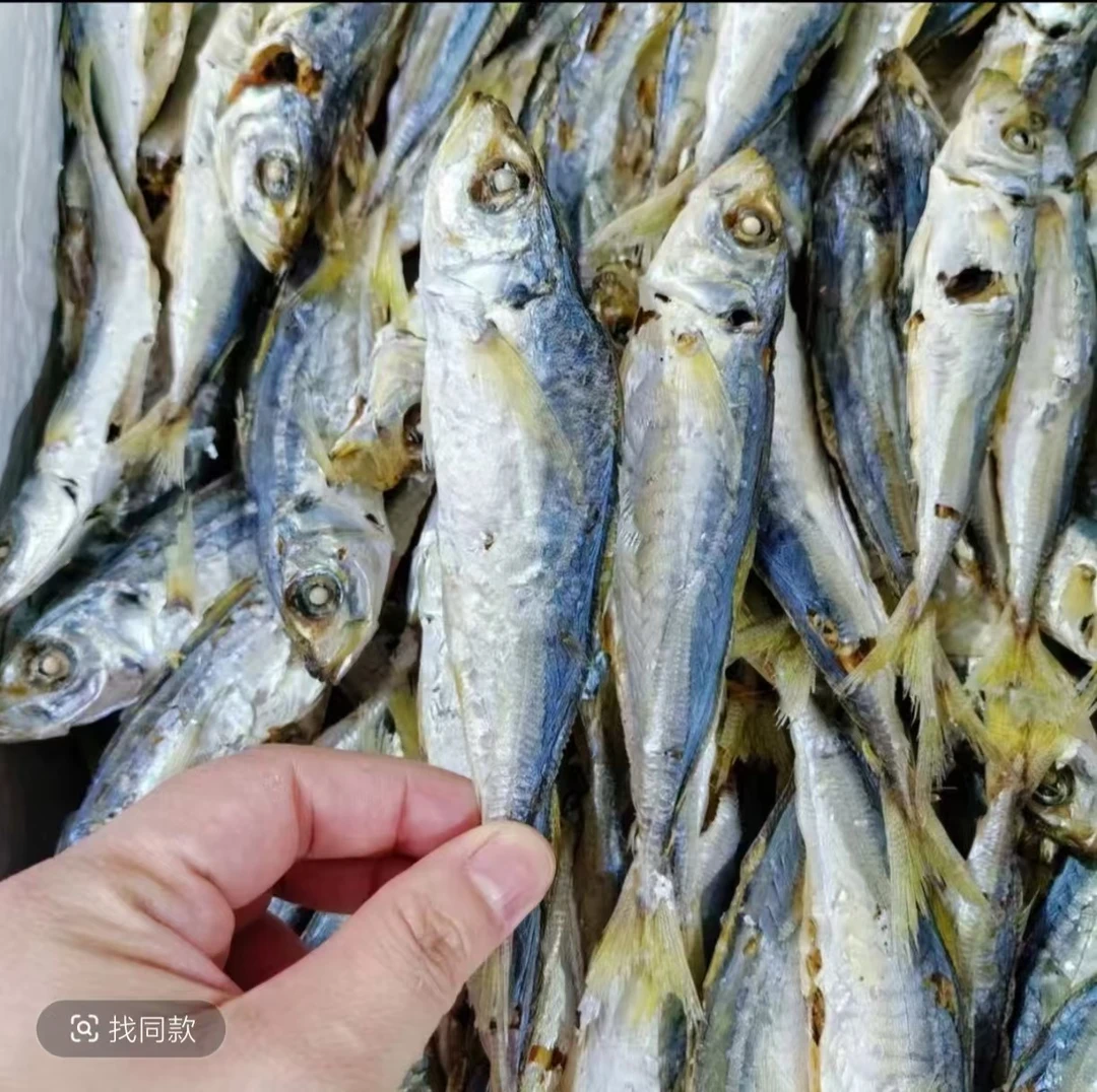 正宗福建东山岛本港黄尾—巴浪鱼干（提鱼干小鱼干海鲜）精品