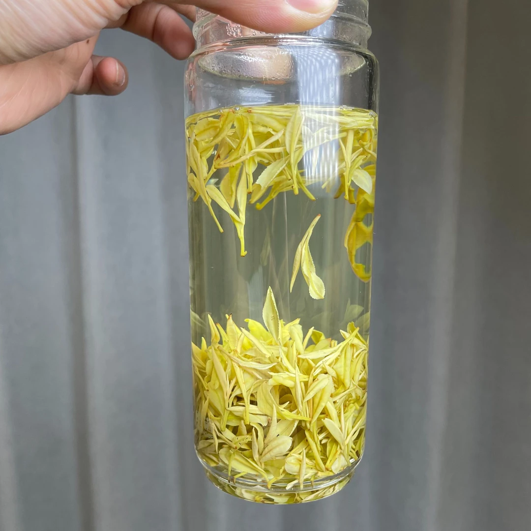 【大熊猫N46】2025新茶 安吉奶香熊猫茶明前茶 奶香赋予 原产地