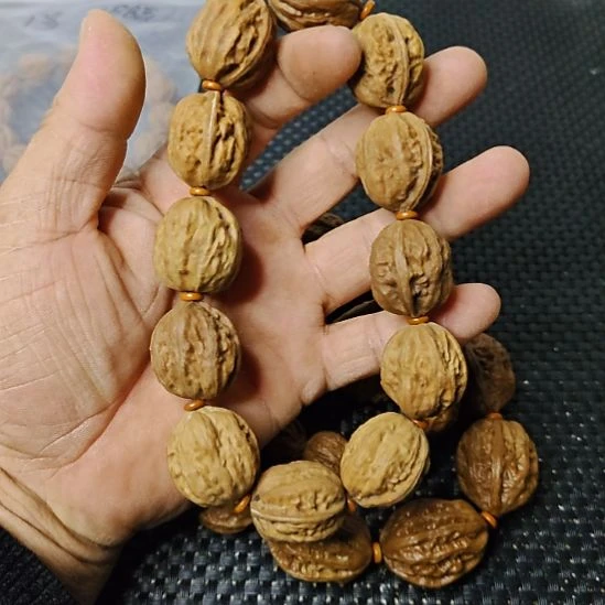 木质类纯野生山核桃        2