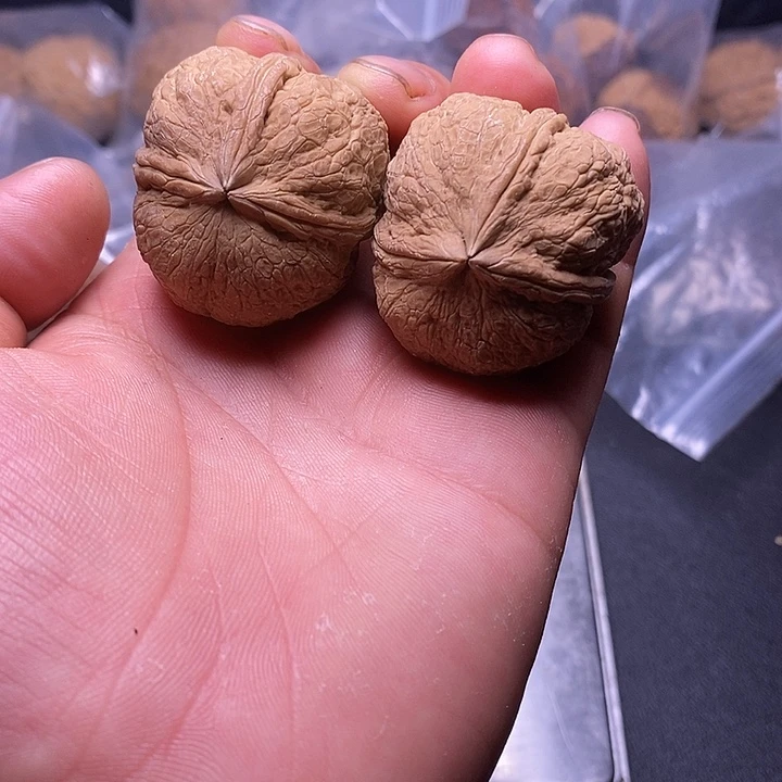 文玩核桃吊坠云南铁核桃放福利9