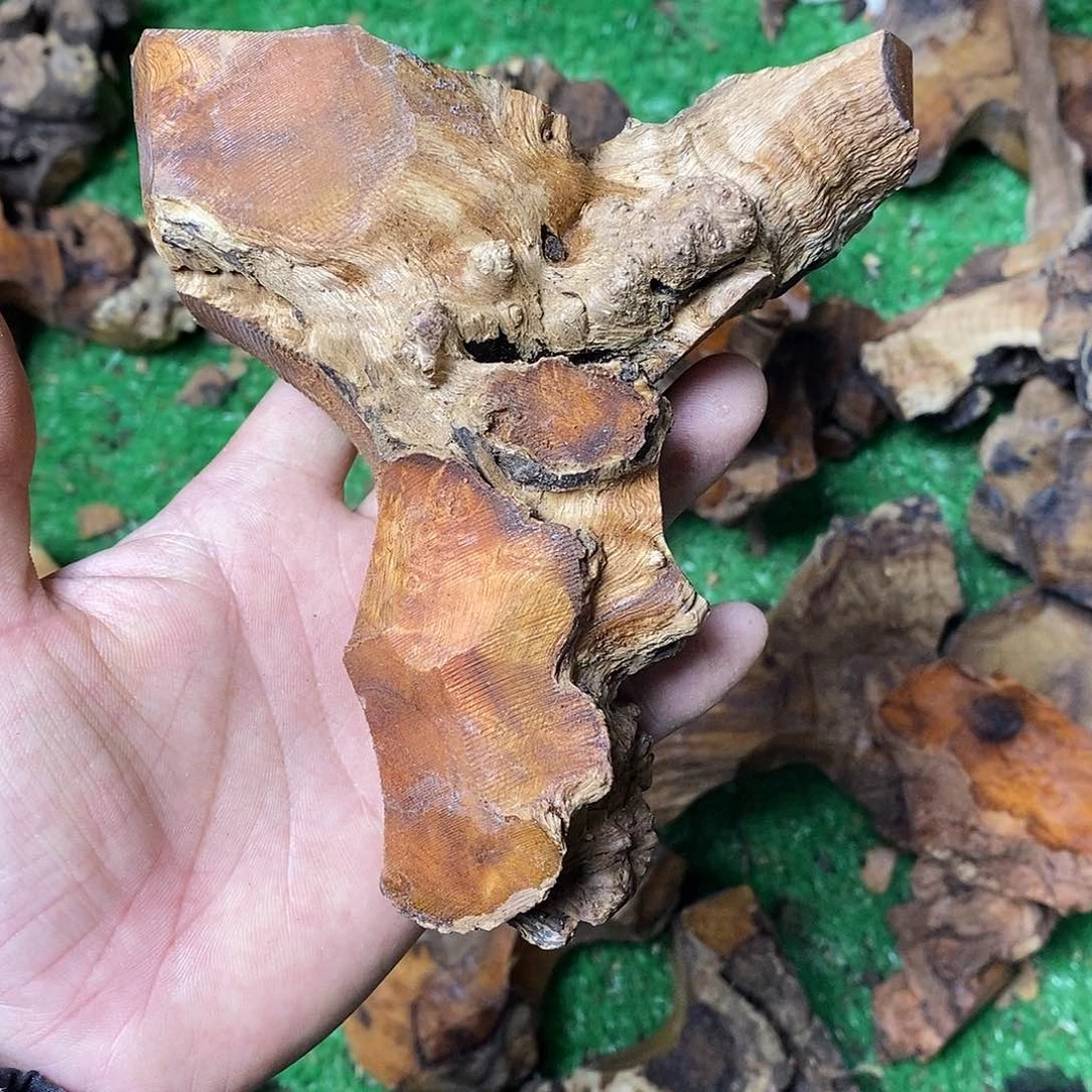 麻利疙瘩小*28828285