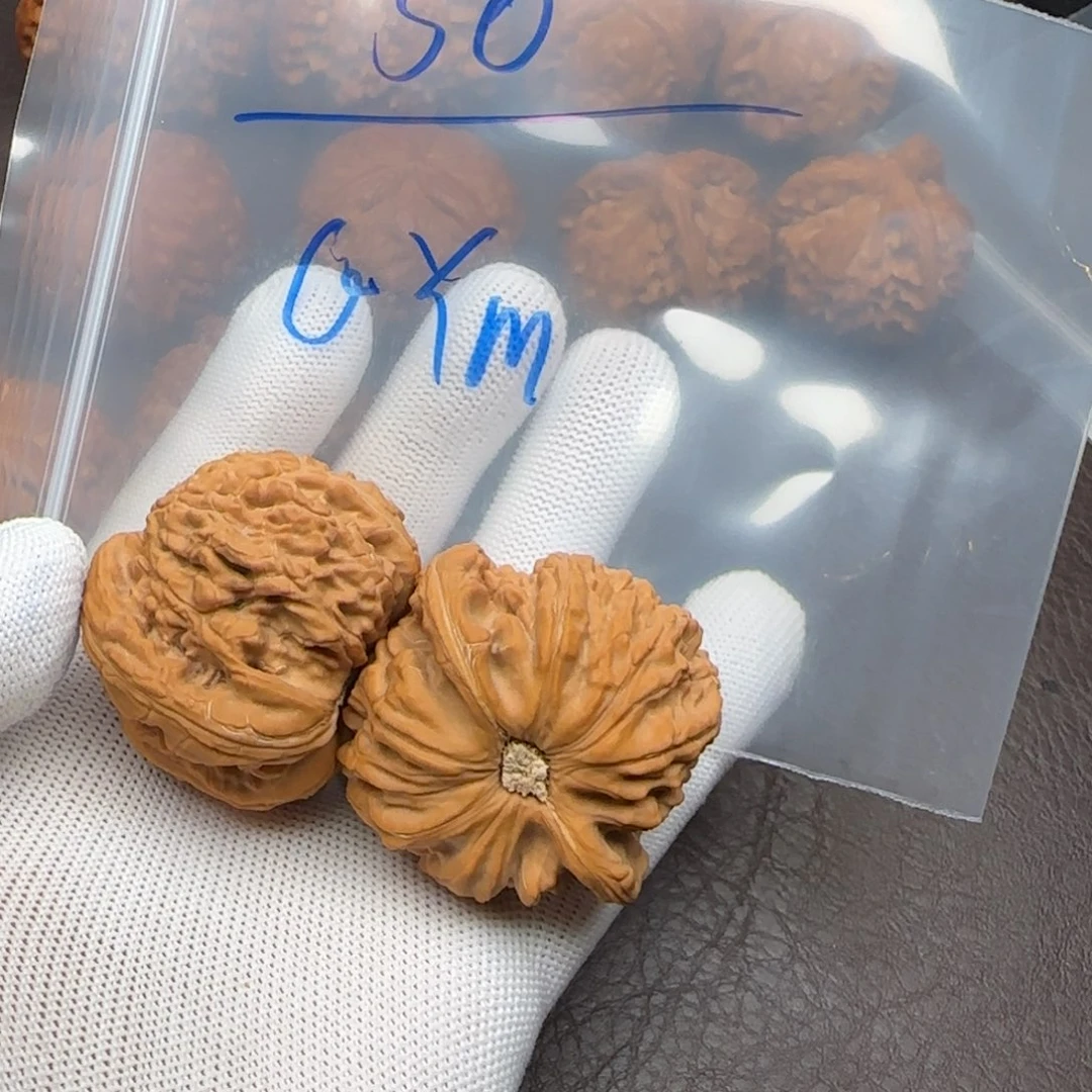 G****Y白狮子568988988809