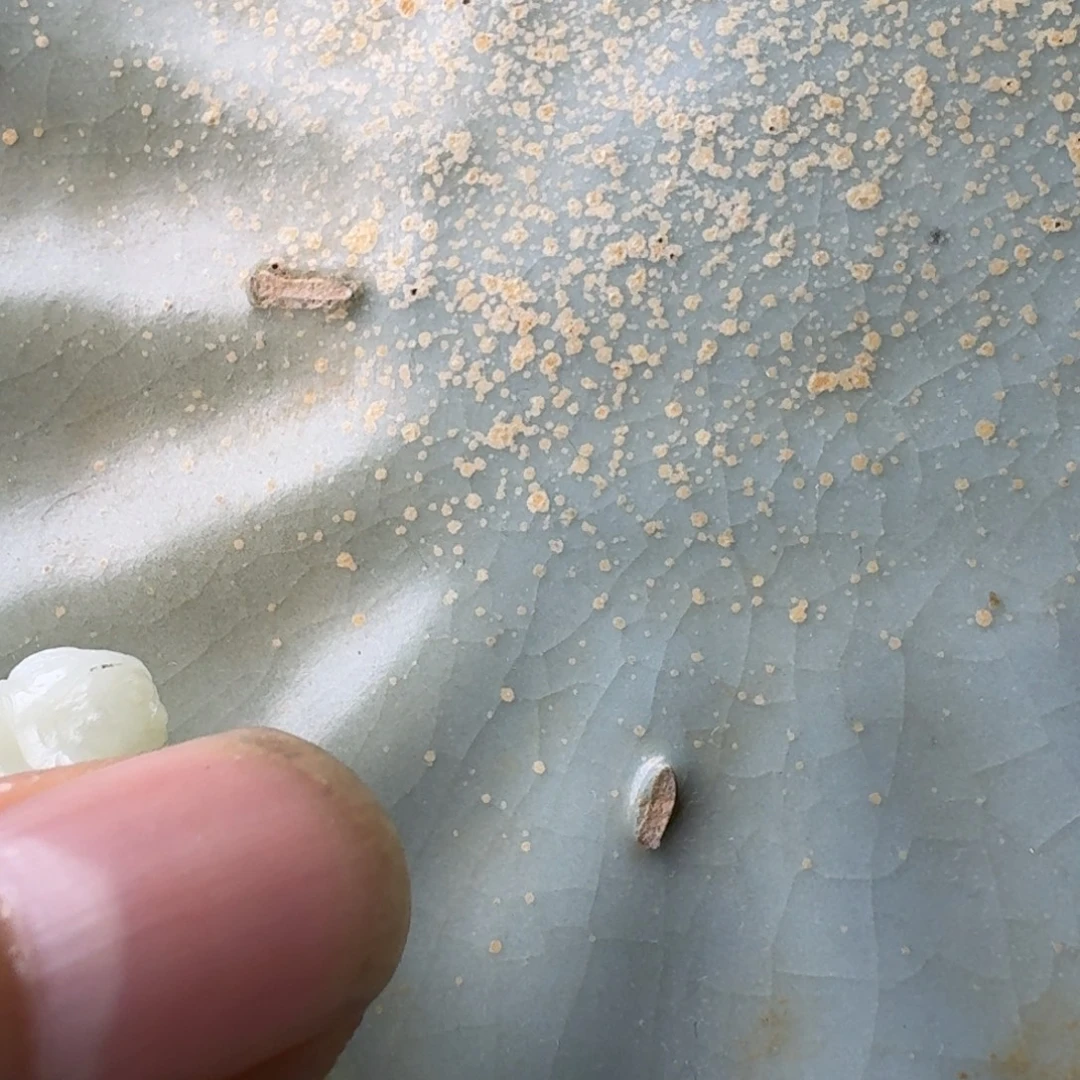 吾***我瓷片瓷器瓷器瓷器瓷器瓷器瓷器瓷器