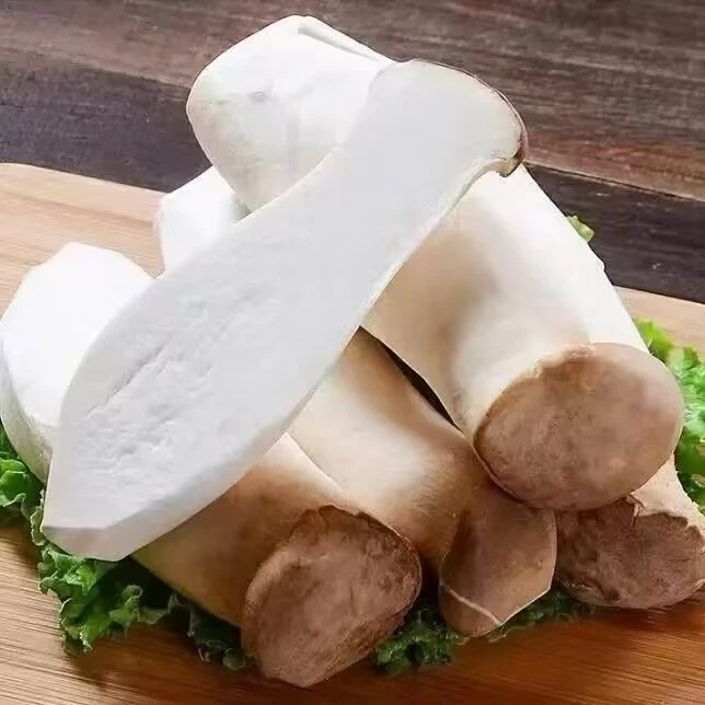 江苏淮安新鲜杏鲍菇炒菜火锅烧烤煲汤食材新鲜菌菇蔬菜