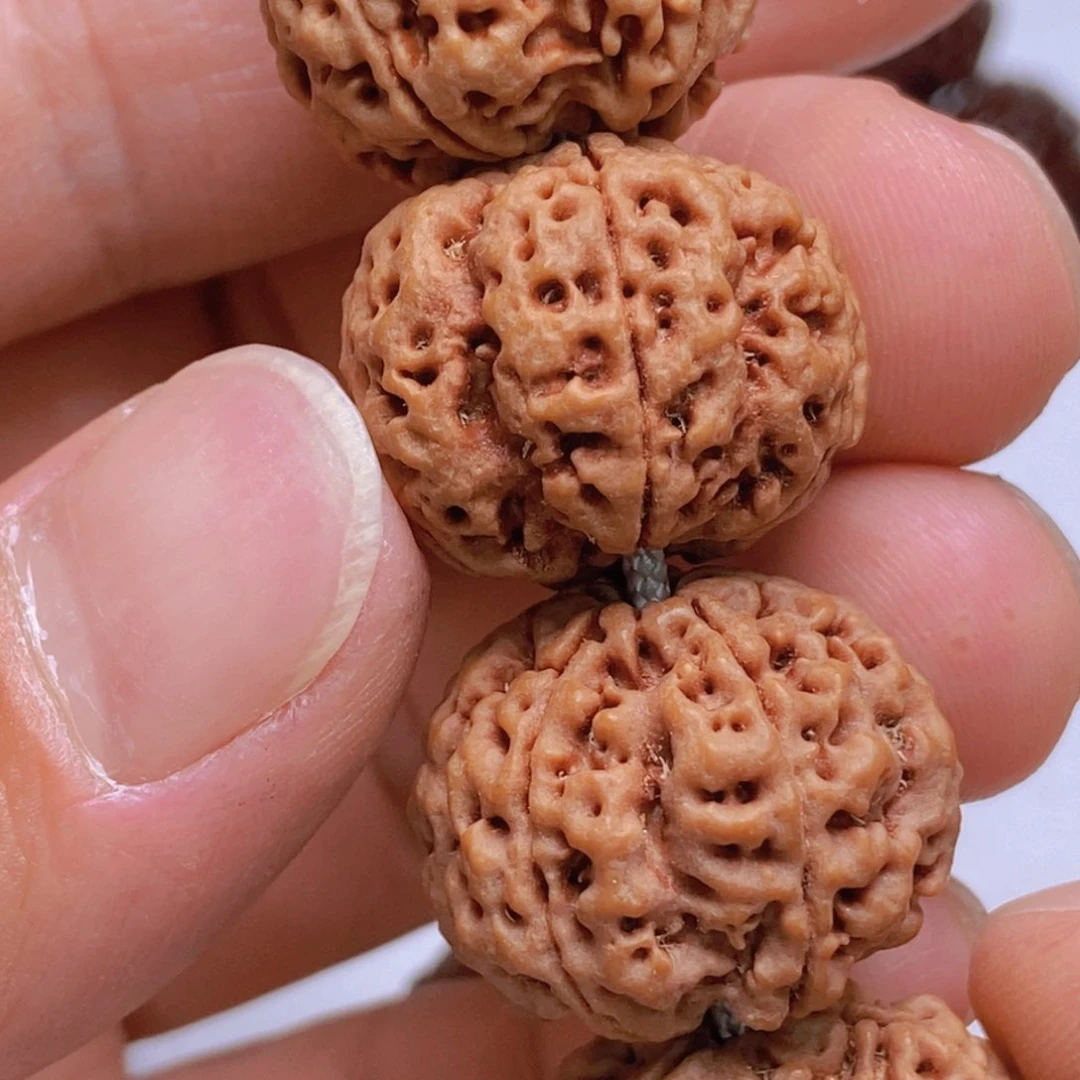 金刚菩提吊坠5瓣21梅花双龙