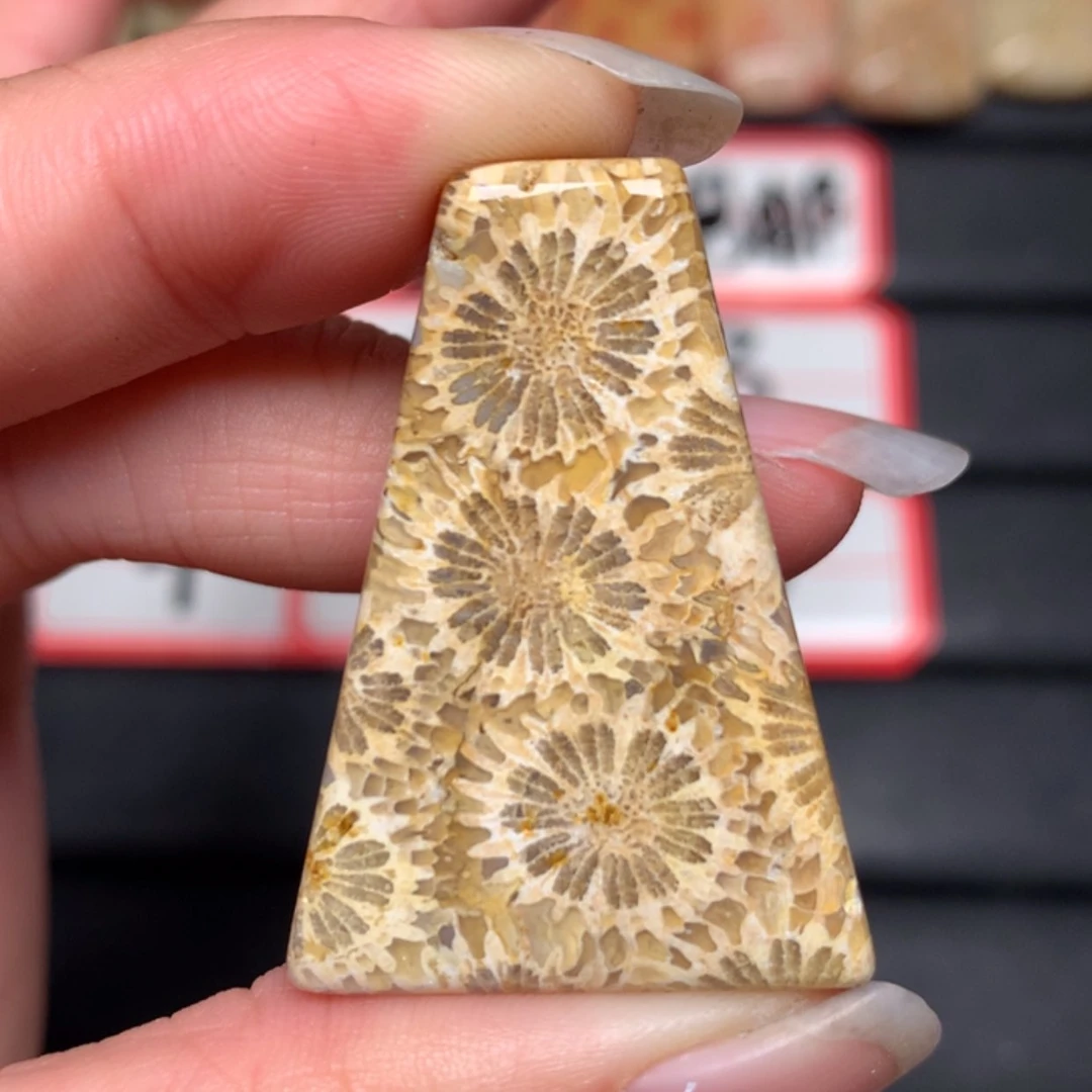 【闪购商品】硅化玉颈饰合金东***?