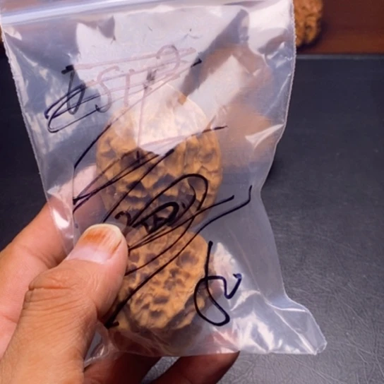 【闪购商品】把件文玩核桃车****王帝王