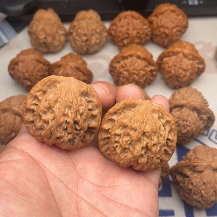 43尺寸全品无瑕疵虎头