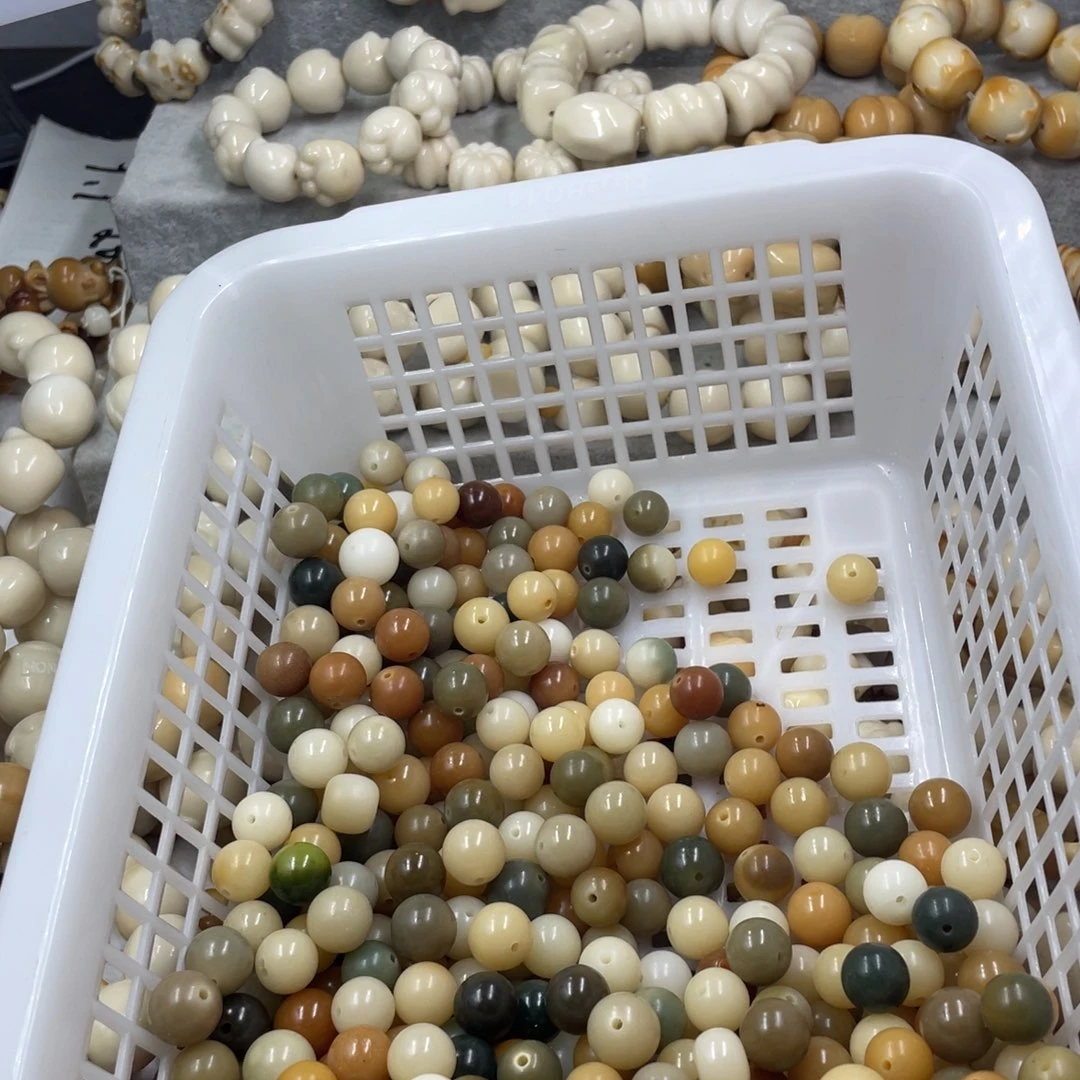 菩提根/象牙果吊坠微瑕菩提多宝园12三百