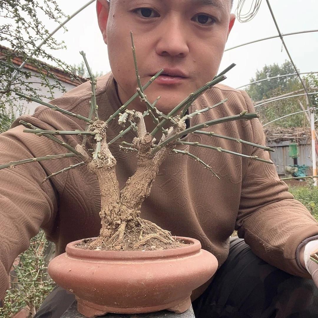 我***然无花朵谢谢你的支持和信任